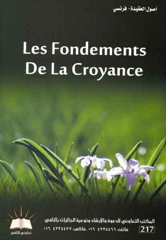 Les Fondements de La Croyance